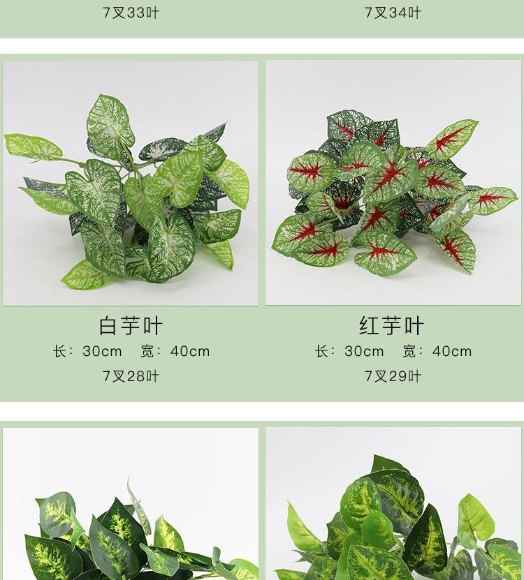 仿真小植物01详情_04.jpg
