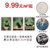 Amazon Minimalista Mascota Gato Baño Colgante Pintura Lienzo Pintado con Spray Póster Lindo Animal Dormitorio Pintura Decorativa