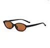 Novos Óculos de Sol Fashion Gatinho Transfronteiriços para Homens e Mulheres, Alta Qualidade para Fotografia de Rua, Estilo Versátil de Celebridade da Internet, Óculos de Sol Anti-UV