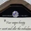 Zircón de Corte Octagonal Graduado de 6/8 mm para Ramilletes, Popular en Douyin y Xiaohongshu, Piedra Principal Galvanizada, Venta al por Mayor de Joyería con Piedras Sueltas