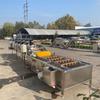 Lavadora Automática de Cangrejos Equipo de Lavado y Cocción de Cangrejos para Fábrica de Alimentos Equipo de Procesamiento de Cangrejos