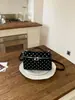 Bolsa Pequena Exquisita Super Popular para Mulheres, Nova Tendência de Verão 2026 com Bolinhas, Bolsa de Ombro Transversal Estilo Balde