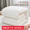 Colcha de Algodón de Fibra Larga de Primera Calidad de Xinjiang, Núcleo de Colcha Floral de Algodón, Colcha de Invierno, Colchoneta de Relleno de Algodón, Ropa de Cama, Base de Algodón Hecha a Mano