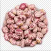 Frijoles rojos, especialidad de Yunnan producida en granja, frijoles rojos grandes, frijoles rojos, frijoles flor 2.5 kg a granel semillas y granos de frijol rojo