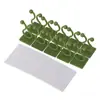 Fijador de Plantas Verdes sin Rastro Artefacto para Paredes Trepadoras Rosa Verde Cesta Verde Colgante de Pared para Plantas Trepadoras Molde Fijo Hogareño Interior
