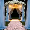Cortina de Tule Transparente de Peça Única para Arcos de Casamento e Festival, Decoração de Salão, Decoração de Fundo para Festa de Aniversário