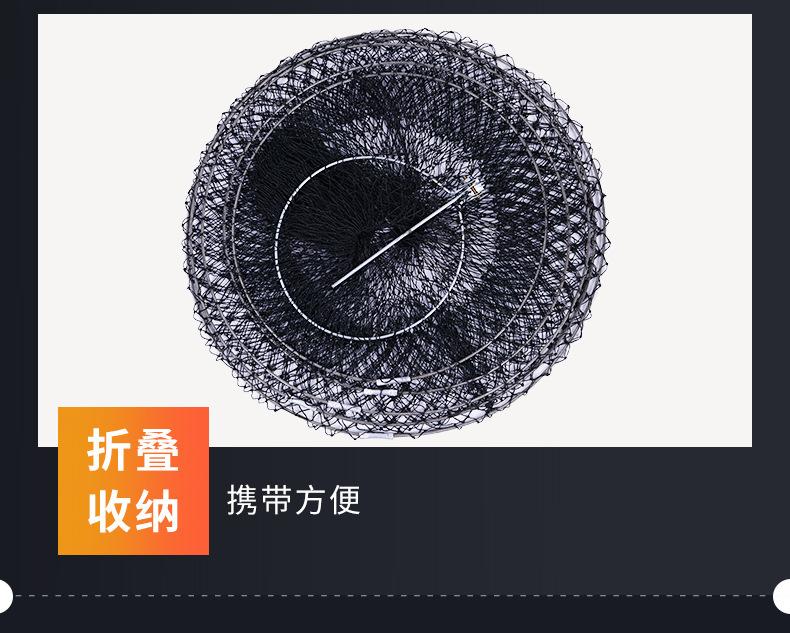 鱼护_12.jpg
