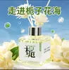 Aromaterapia para uso doméstico, adequada para quartos e banheiros de hotel, proporcionando fragrância duradoura e remoção de odores com óleos essenciais de gardênia e osmanthus em um difusor de varetas