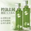 Shampoo de Camélia, Anticaspa, Controle de Oleosidade, Fragrância Duradoura, Gel de Banho de Grande Capacidade, Condicionador, Lista dos Mais Vendidos, Produto Doméstico de Marca Tradicional