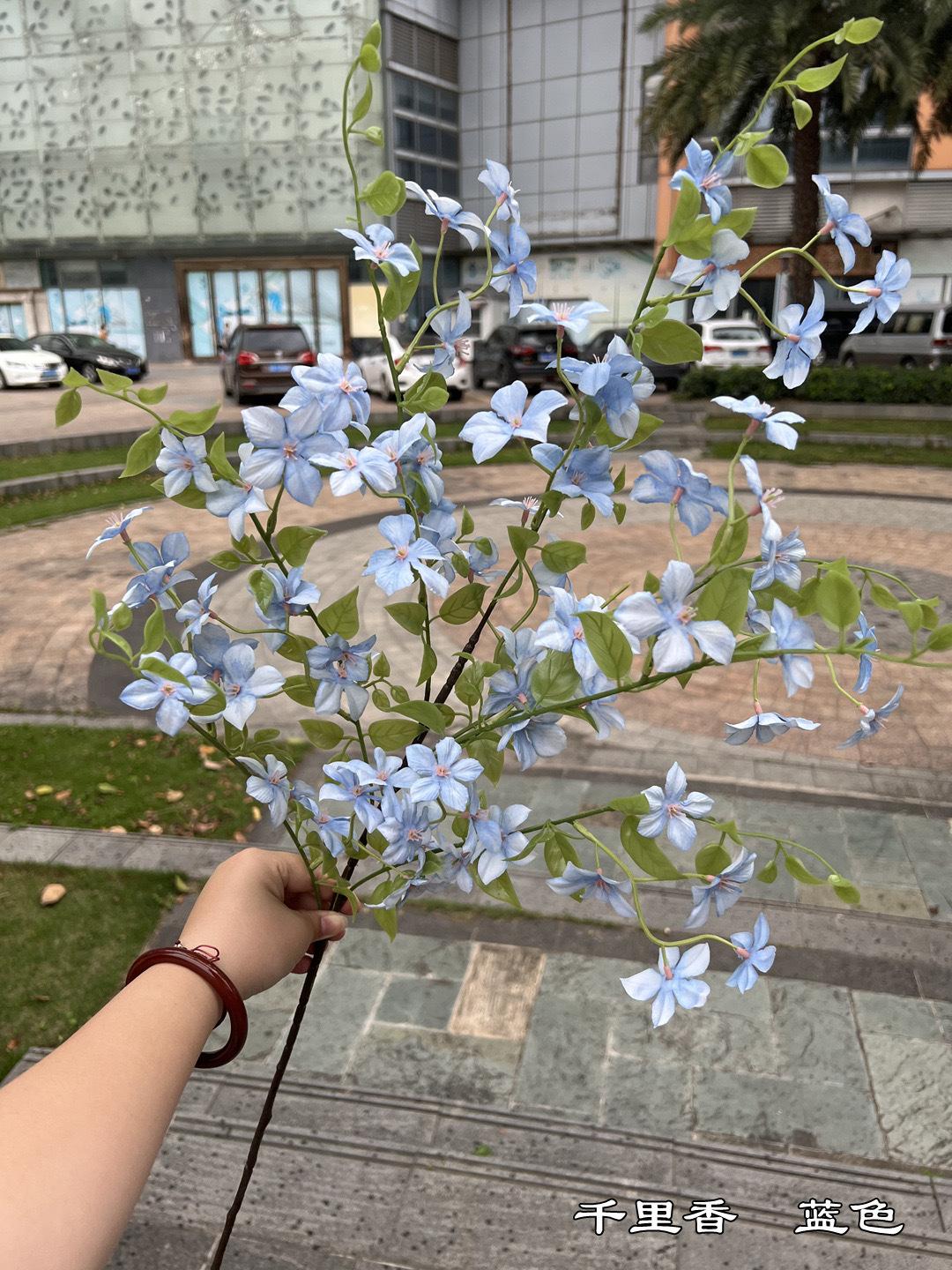 微信图片_20240228145947.jpg