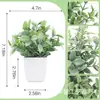 Amazon Hierba de Primavera Artificial Pequeña en Maceta Hoja de Frijol Persa Hoja de Orquídea Planta Verde Decoración del Hogar Planta Verde Pequeño Bonsái