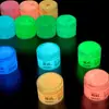 Pintura que brilla en la oscuridad de 60 ml, pintura acrílica luminosa para arte, pintura fluorescente para modelos, portátil, en un recipiente pequeño, impermeable, para equipo de pesca, pintura que brilla en la oscuridad