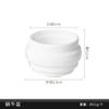 Vaso de flores de plástico tipo porcelana com espuma flocada, vaso de flores pequeno, mini arranjo de flores, simulação de mesa, decoração de plantas carnudas em vasos