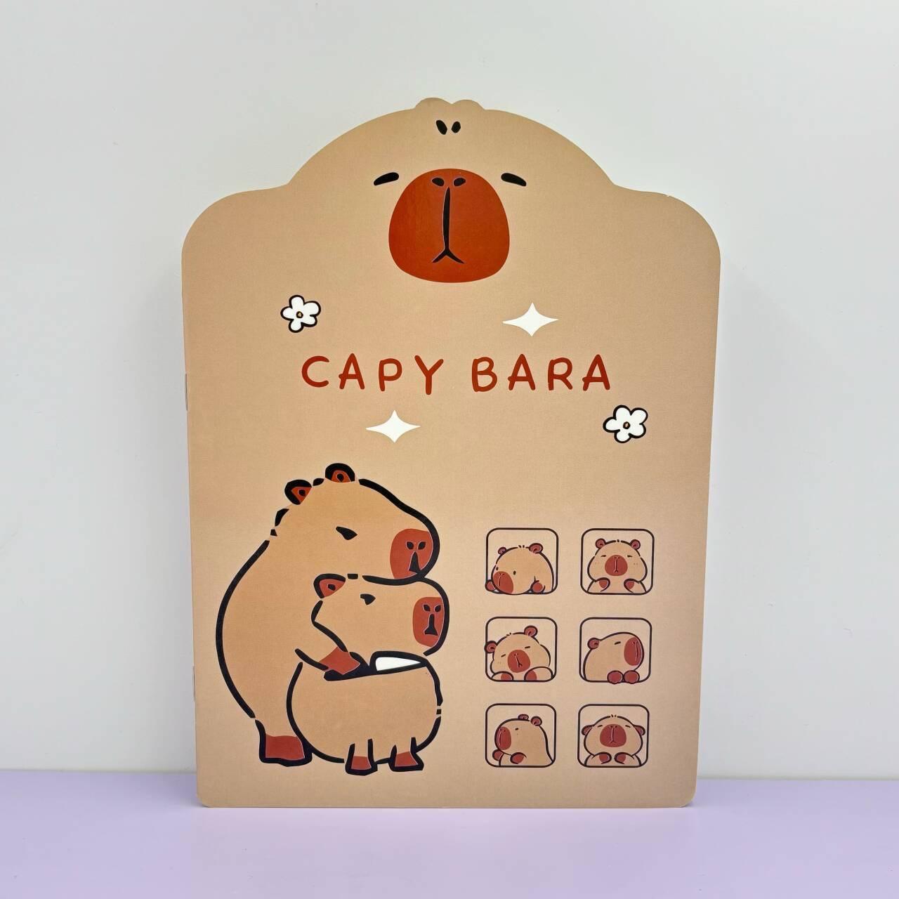 IMG_3495(20240728-100556)