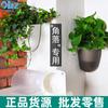 Maceta colgante de pared con punto maceta colgante tridimensional de esquina colgante rosa verde maceta de plástico con almacenamiento de agua maceta de esquina creativa maceta para personas perezosas