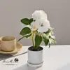 Produtos Transfronteiriços, Bolas de Flores Artificiais, Bonsai de Crisântemo, Decoração de Casa, Flores Artificiais, Plantas Verdes, Decorações Internas para Festas de Casamento, Flores Simuladas