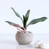 Venda quente na internet sensação de mão folha de Phalaenopsis mini sensação de mão folha de Phalaenopsis flor artificial planta arranjo de flores acessórios