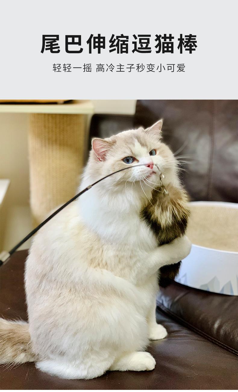 黑色逗猫棒改_01.png
