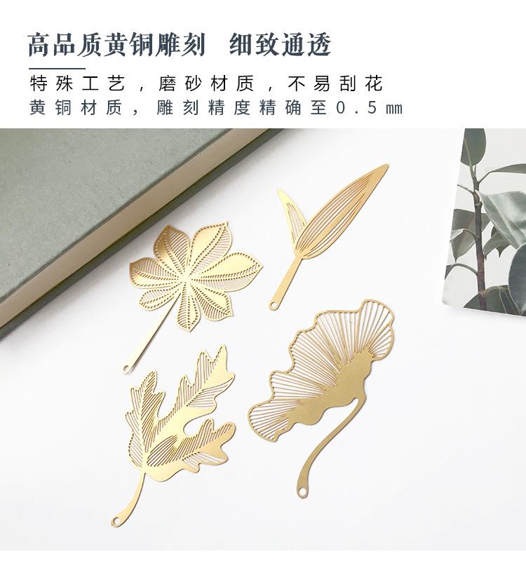 3.jpg?x-oss-process=image/format,png