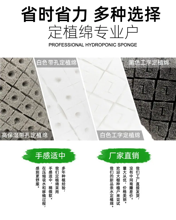 定植绵详情_03.jpg