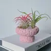 Piña Aérea Plantas Verdes de Escritorio para Oficina Plantas Pequeñas en Maceta de Interior Fáciles de Mantener Durante Todo el Año Flores Estabilizadoras del Ánimo para Personas Perezosas