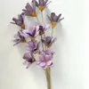 Sementes, Flores, Flores Eternas, Flores Secas Artesanais, Kit de Material DIY, Arranjo de Flores em Vaso, Flores Naturais Reais, Adereços para Fotografia, Plantas Estilo Ins