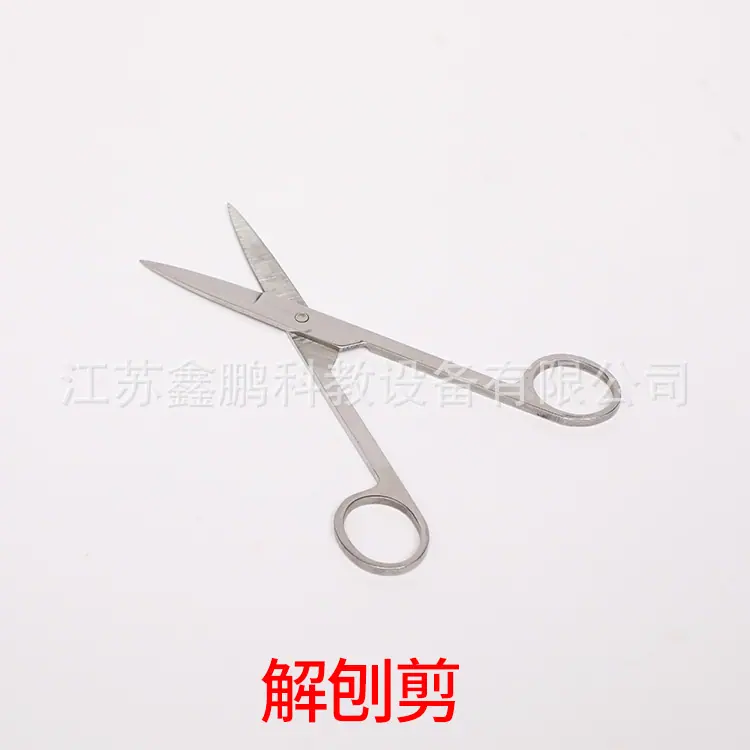 J92A2243.JPG