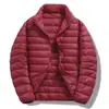 Modelos Antiguos Transfronterizos en Stock Chaquetas Ligeras de Plumas Otoño e Invierno Chaquetas Cálidas Cortas de Invierno Ligeras Fuera de Temporada con Capucha