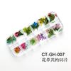 Nuevo Estilo Japonés y Coreano Arte de Uñas Flor Seca 12 Margarita Grácil Narciso Pegatina de Pollo Flor de Color Joyería para Uñas Transfronterizo