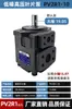 Bomba de Palhetas Quantitativa Pv2R1-17-Fr Pvl1-31/28/25/23/19/14/12-F1 Bomba de Óleo para Máquina de Moldagem por Injeção