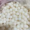 Semillas de Bodhi Naturales Cuentas Sueltas Cuentas de Raíz de Bodhi Cuentas de Oración Anillo de Bodhi de Jade Blanco Dedo Cuentas Suaves Cuentas de Madera SECA Wenwan