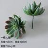 Wow Suculentas Simuladas Personalizadas, Plantas Verdes, Plantas Decorativas en Maceta, Cactus Muebles para el Hogar, Suculenta Falsa DIY Bonsái