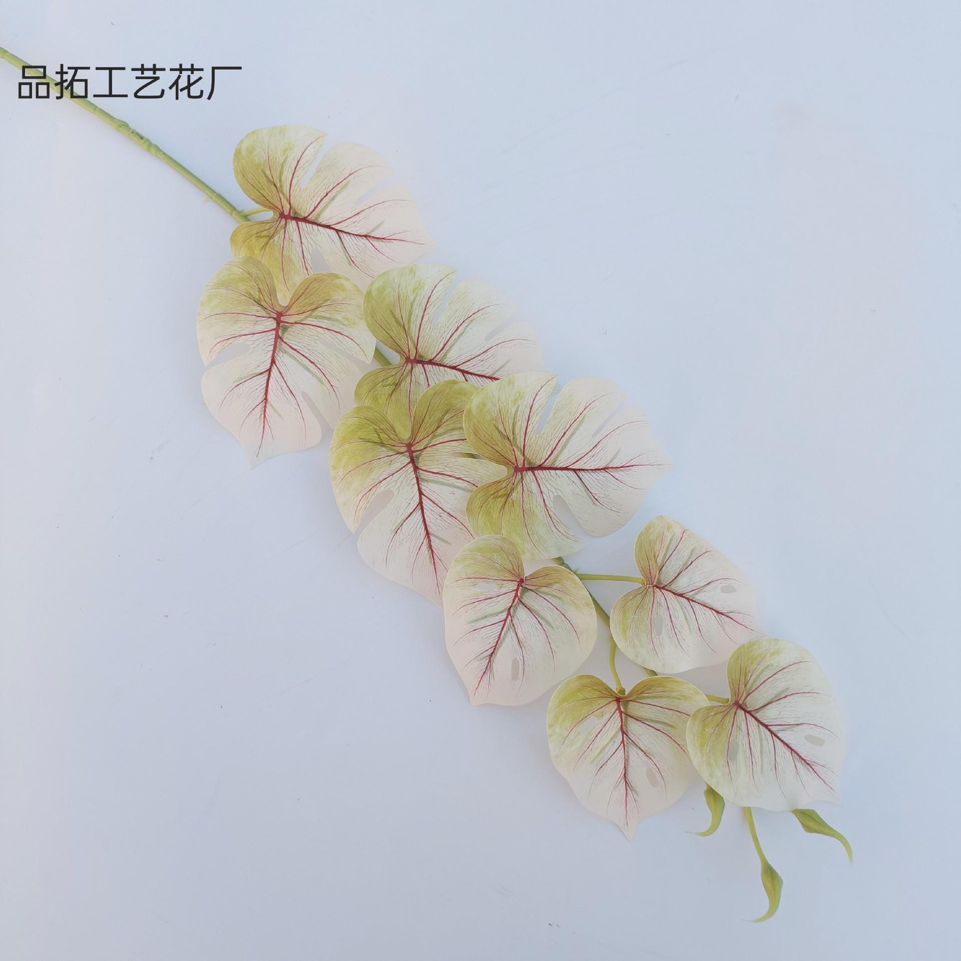 29e680447668dd8e11a6262a094c90