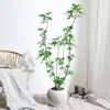 Planta Grande de Madera Pata de Pato en Maceta para Interior para Purificación del Aire, Adecuada para Dormitorio y Sala de Estar, Perenne Todo el Año, Planta Verde de Moda