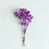 Mini Ramo de Flores Secas Naturales Tarjeta Decoración Material DIY Accesorios para Caja de Regalo Recuerdo Ramillete Amazon Transfronterizo