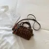 Bolsa de Almofada de Nicho Feminina 2026 Nova Popular Moda Bolsa de Mão Tendência Boston Boston Personalidade Bolsa de Ombro Único Transversal