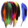 Venta Directa de Fábrica de Plumas de Pato de Colores, Materiales para Manualidades DIY, Decoraciones de Plumas, Palitos Juguete para Gatos y Materiales para Tocados de Nativos Americanos