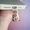 Tapón de Polvo de Acrílico de Gato de Fútbol 2D Más Vendido Transfronterizo para Teléfonos Móviles, Adecuado para Interfaz Apple y Interfaz Tipo-C
