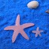 Accesorios de joyería de resina marina con forma de estrella de mar, luminosos, de tamaño grande y pequeño, hechos a mano, con parches, suministro transfronterizo en vivo.