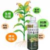 Fertilizante foliar de maíz, barra dorada, elemento expandido, raíz fuerte, plántula fuerte, resistencia al acame, grano alargado, grano lleno, aumento de rendimiento, aumento de ingresos
