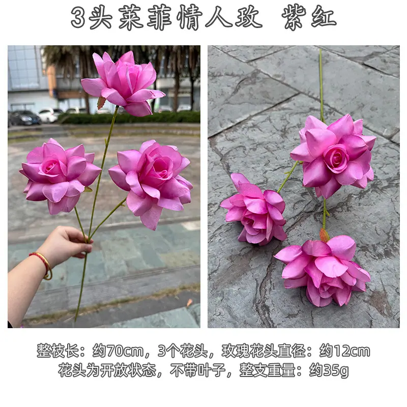 3头莱菲情人玫-详情_21.jpg