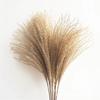 Flores de Caña Seca de 60 cm, Flores tipo Plumero de Cerdas Suaves, Flores de Hierba Natural Rosa Roja, Decoración para el Hogar, Flores Preservadas, Tejido de Hierba Natural