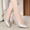 Zapatos de una sola capa color champán para mujer primavera y verano nuevos zapatos de mujer punta temperamento zapatos de dama de honor uso diario nude tacones altos franceses