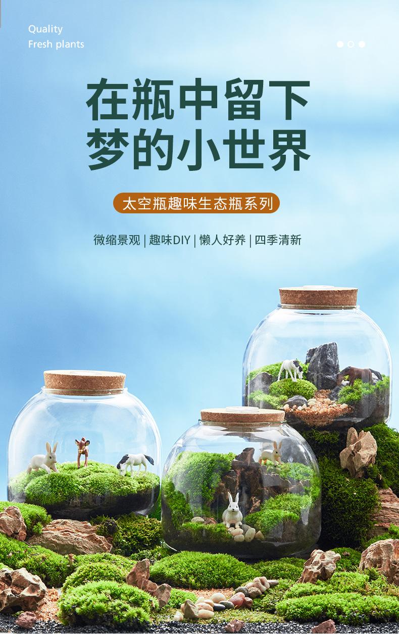玻璃生态瓶_01.jpg