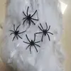 Accesorios Decorativos de Halloween Araña Algodón Telaraña Seda de Araña Plástico Araña Pequeña Diseño de Fiesta Transfronterizo