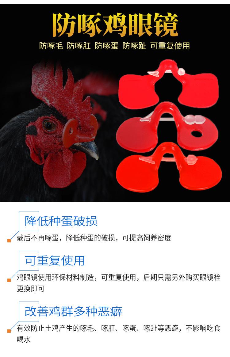 鸡眼镜_03