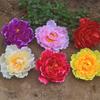 Flor de peonía de simulación con diadema de varilla accesorios para actuación de danza clip para flor flor para la cabeza flor para la muñeca se puede hacer con el dedo medio
