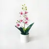 Nova simulação de folha de bambu 6 flores Phalaenopsis planta de vaso de mesa decoração para varanda de casa decoração de flor artificial planta verde bonsai
