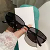 Novo Estilo Estilo Old Money Óculos de Sol Pequenos Marrons para Mulheres, Óculos de Sol Gatinho Retrô de Alta Qualidade, Óculos de Sol de Metal Anti-UV