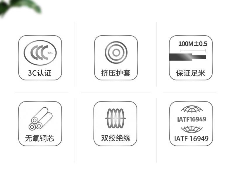 描述图_4 去除9000.jpg